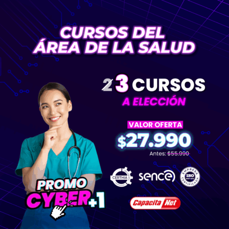 3 cursos a eleccion en cyber alt.