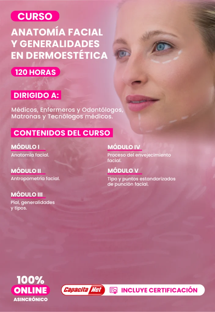 Anatomía Facial Y Generalidades En Dermoestética