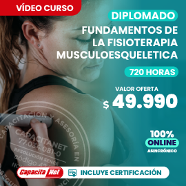 diplomado fundamentos de la fisioterapia musculoesquelética