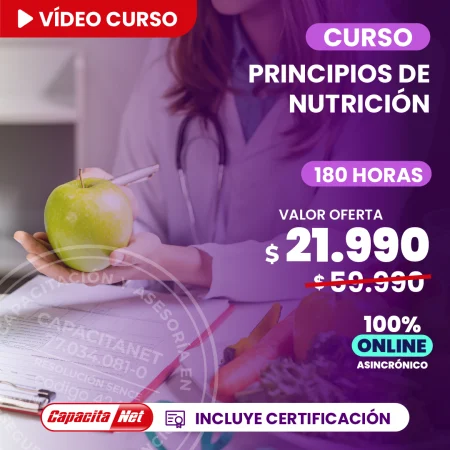 portada de curso online de principios de nutrición