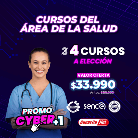 4 cursos a eleccion en cyber alt.