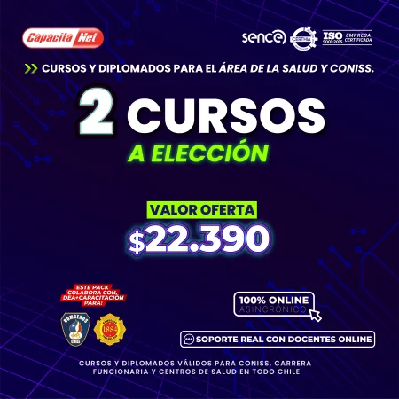 2 CURSOS A ELECCIÓN