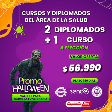 2 DIPLOMADOS + 1 CURSO A ELECCIÓN