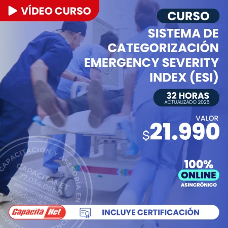 portada curso online ESI 2026