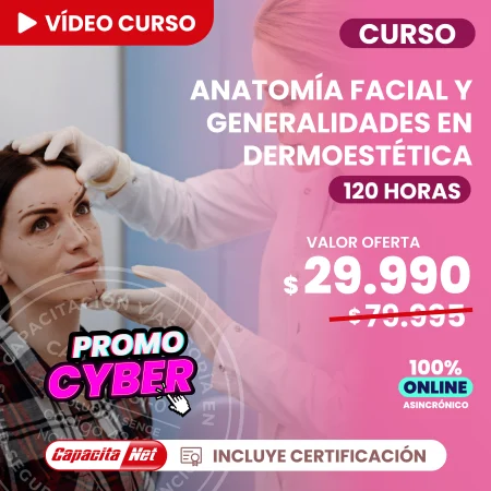 Curso de Anatomía Facial Y Generalidades En Dermoestética 120 Hrs