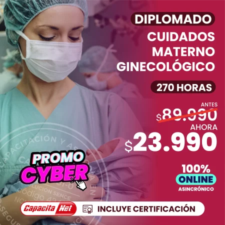 Diplomado cuidados materno ginecológicos 270 Hrs
