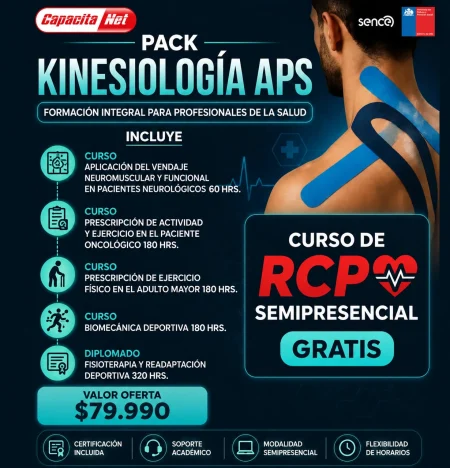KINE APS