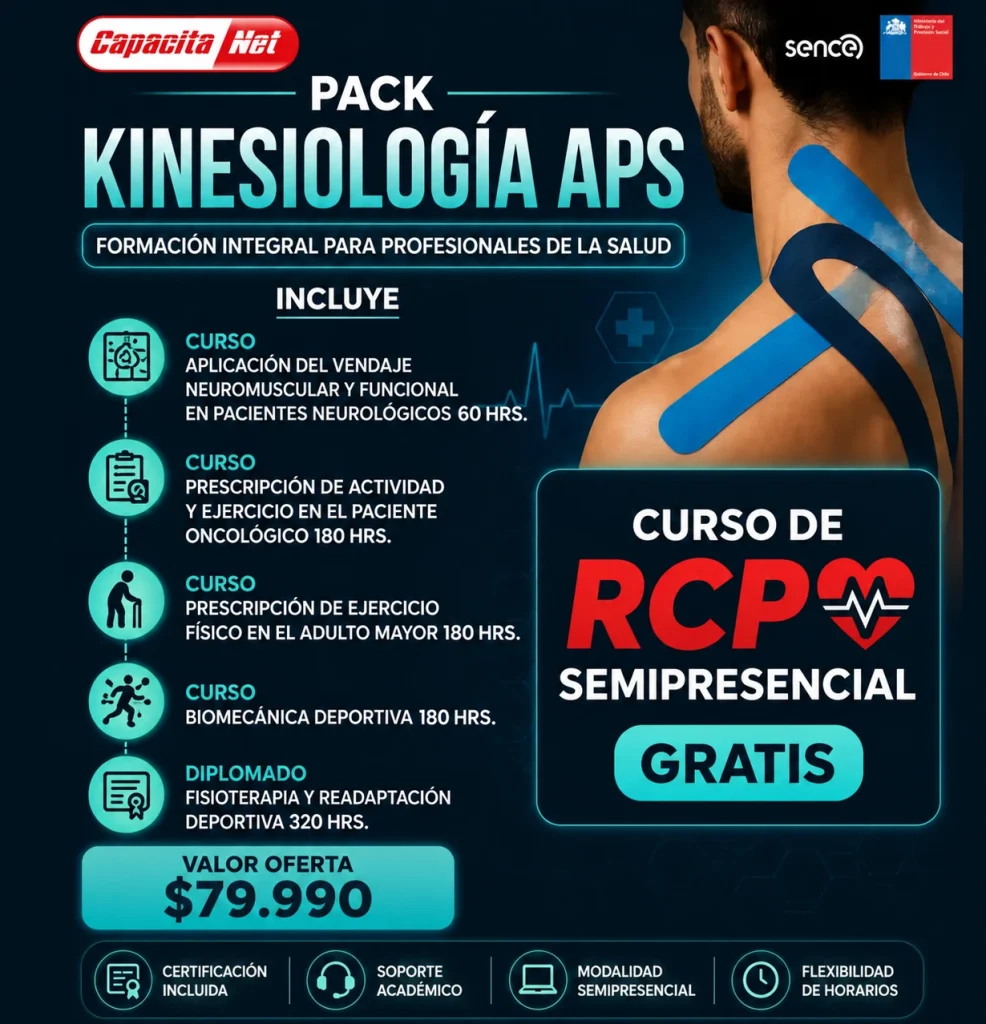 KINE APS