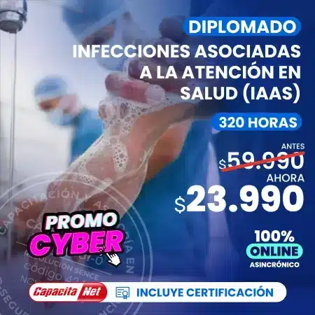 Diplomado IAAS 320hrs