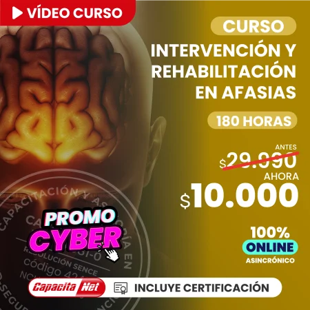 Curso Intervención y rehabilitación en afasias 180 hrs
