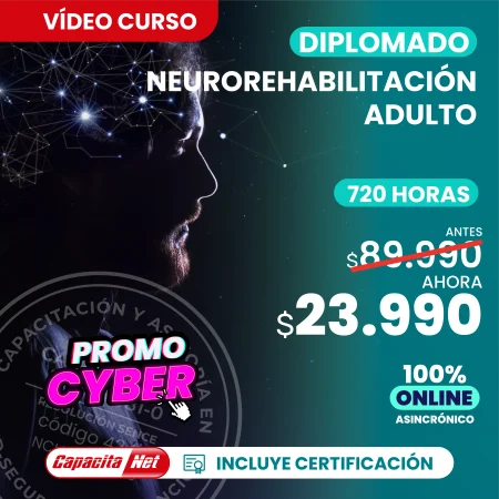 Diplomado en neurorehabilitación adulto 720 hrs