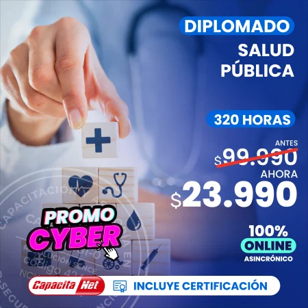 Diplomado en salud pública 320 hrs