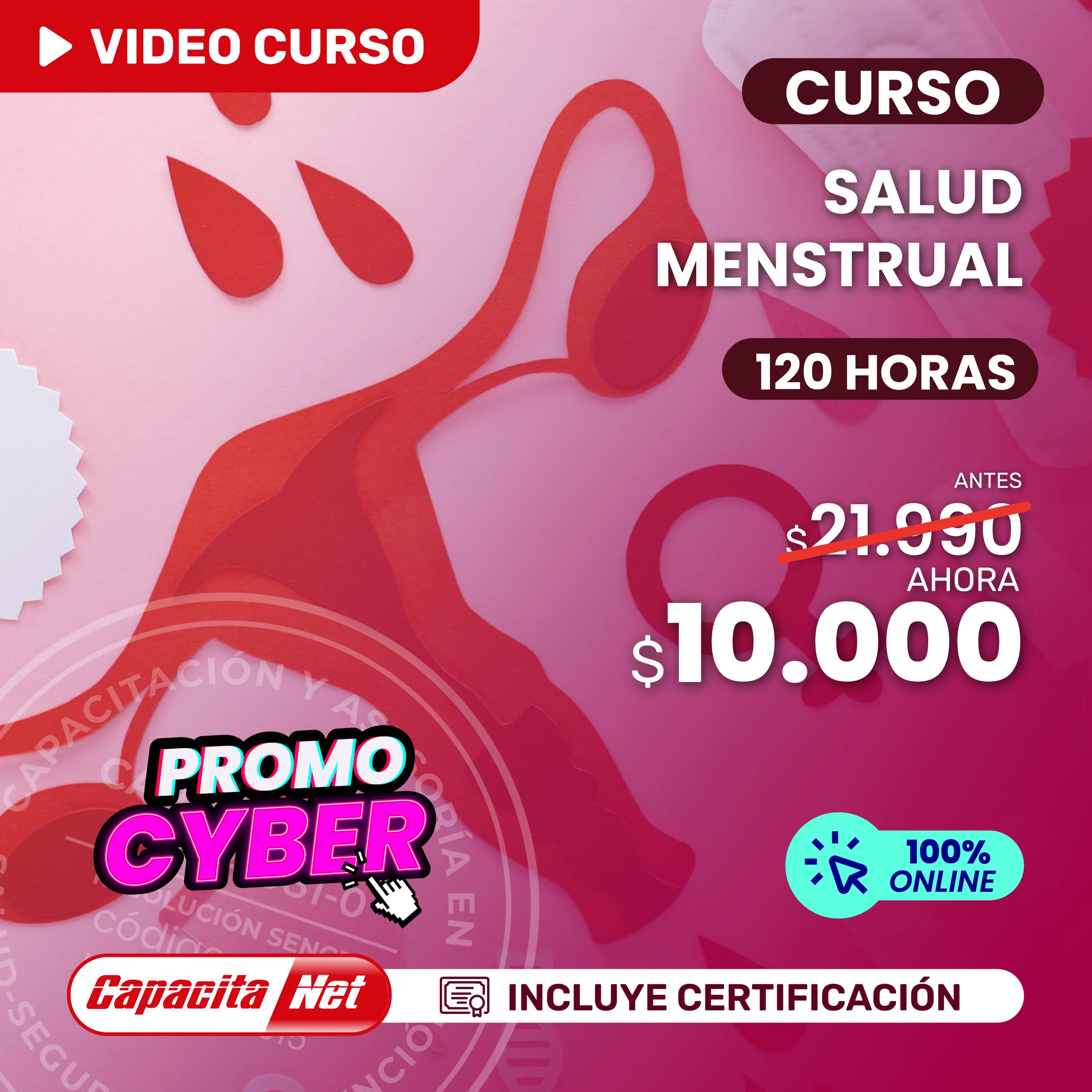 Curso de salud menstrual 120 hrs