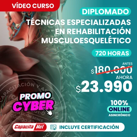Diplomado en fisioterapia musculoesquelética 720 hrs