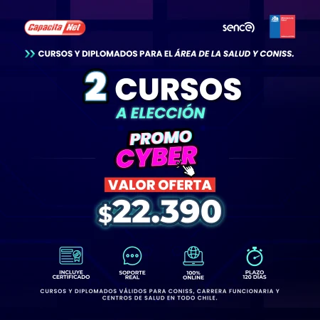 2 CURSOS A ELECCIÓN