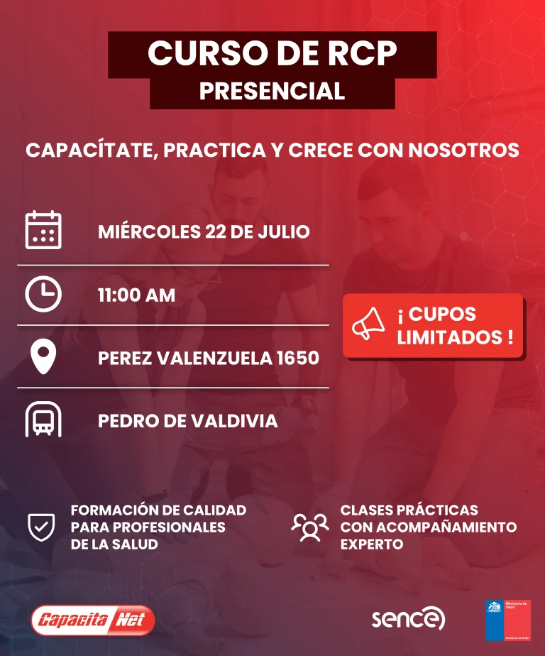 descripción del curso RCP semipresencial Santiago