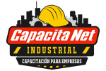 LOGO CAPACITANET INDUSTRIAL